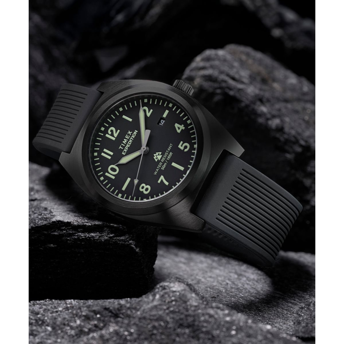 TW2Y18100 Expedition Capstone de hombre correa de resina