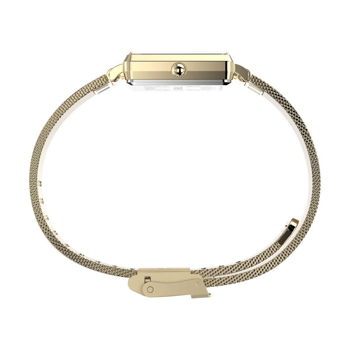 TW2Y26100 Transcend Trend de dama correa de mesh