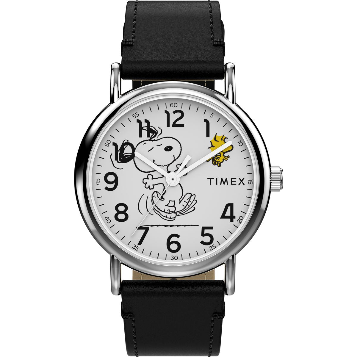 TW2Y31000 reloj Timex