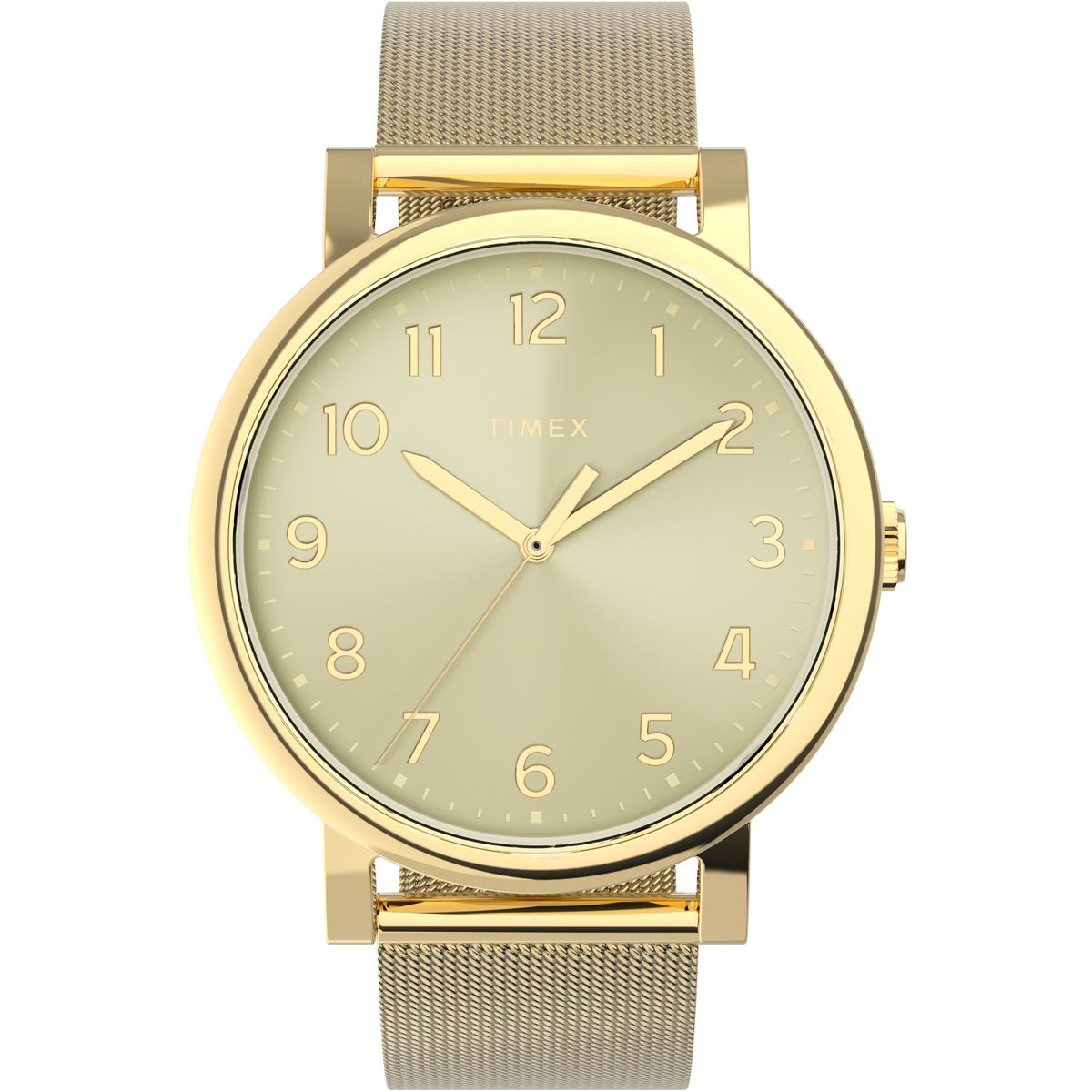 TW2Y68900 Reloj Timex OG de dama banda mesh