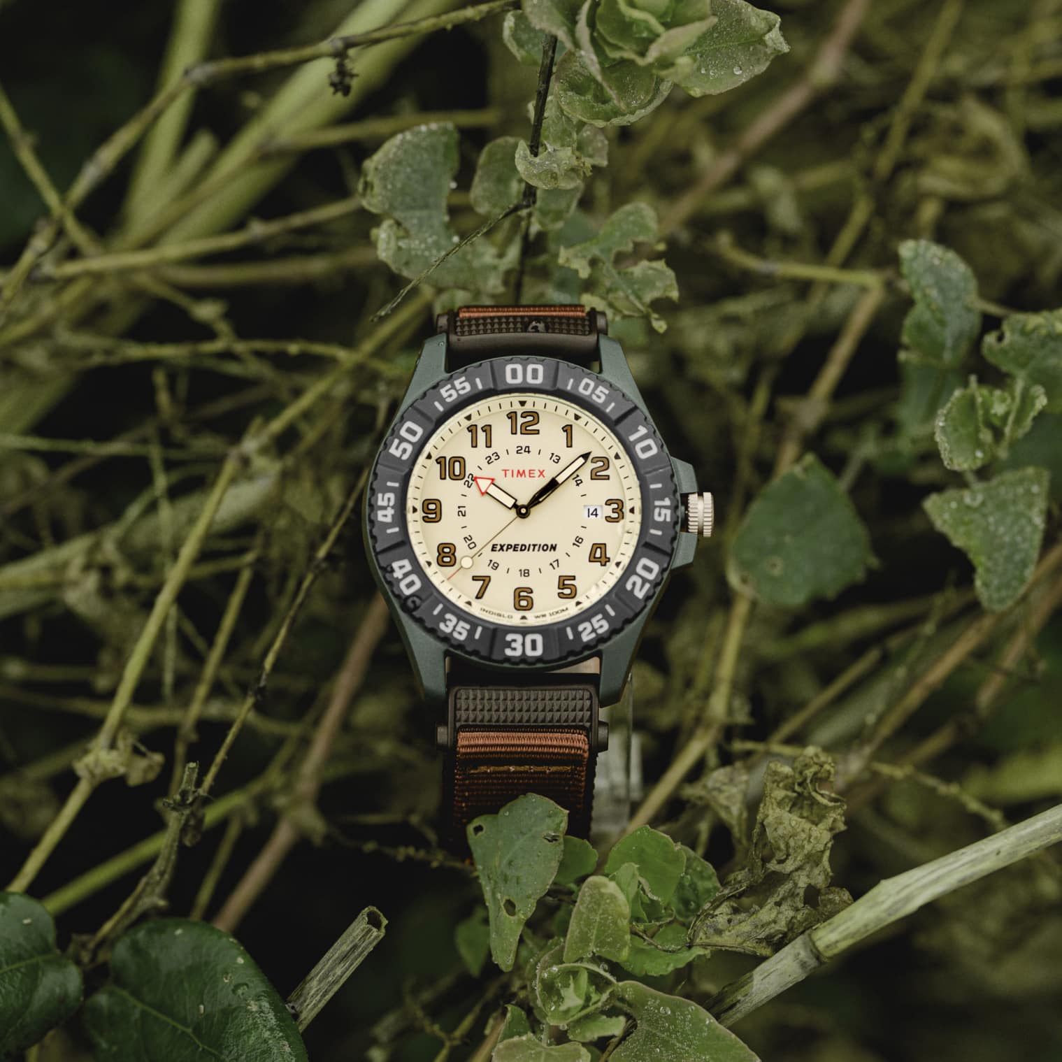 TW4B26500 Timex Expedition Acadia Rugged Reloj para Caballero 42mm