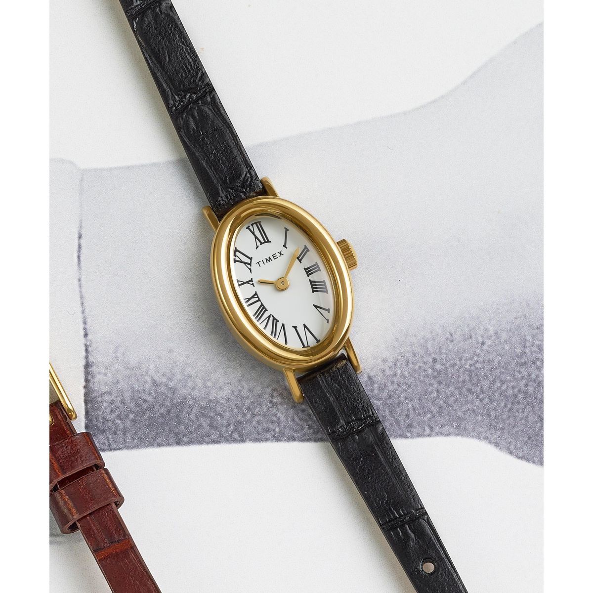 TW2W78300 Cavatina Trend de dama correa de cuero