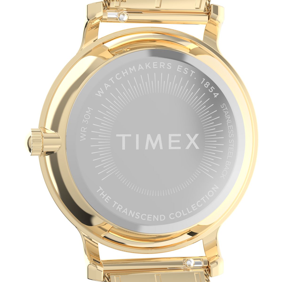 TW2Y10300 Transcend de mujer banda mesh