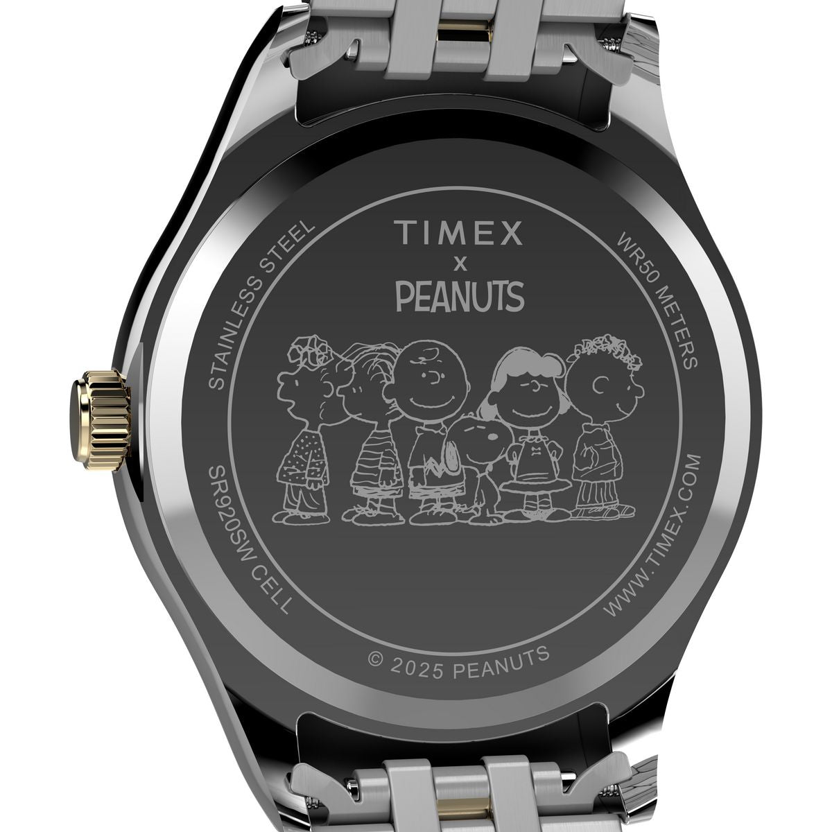 TW2Y11100 Peanuts de hombre correa de metal snoopy