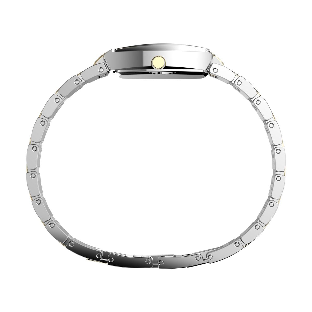 TW2Y22300 Charlotte Trend de dama correa de metal