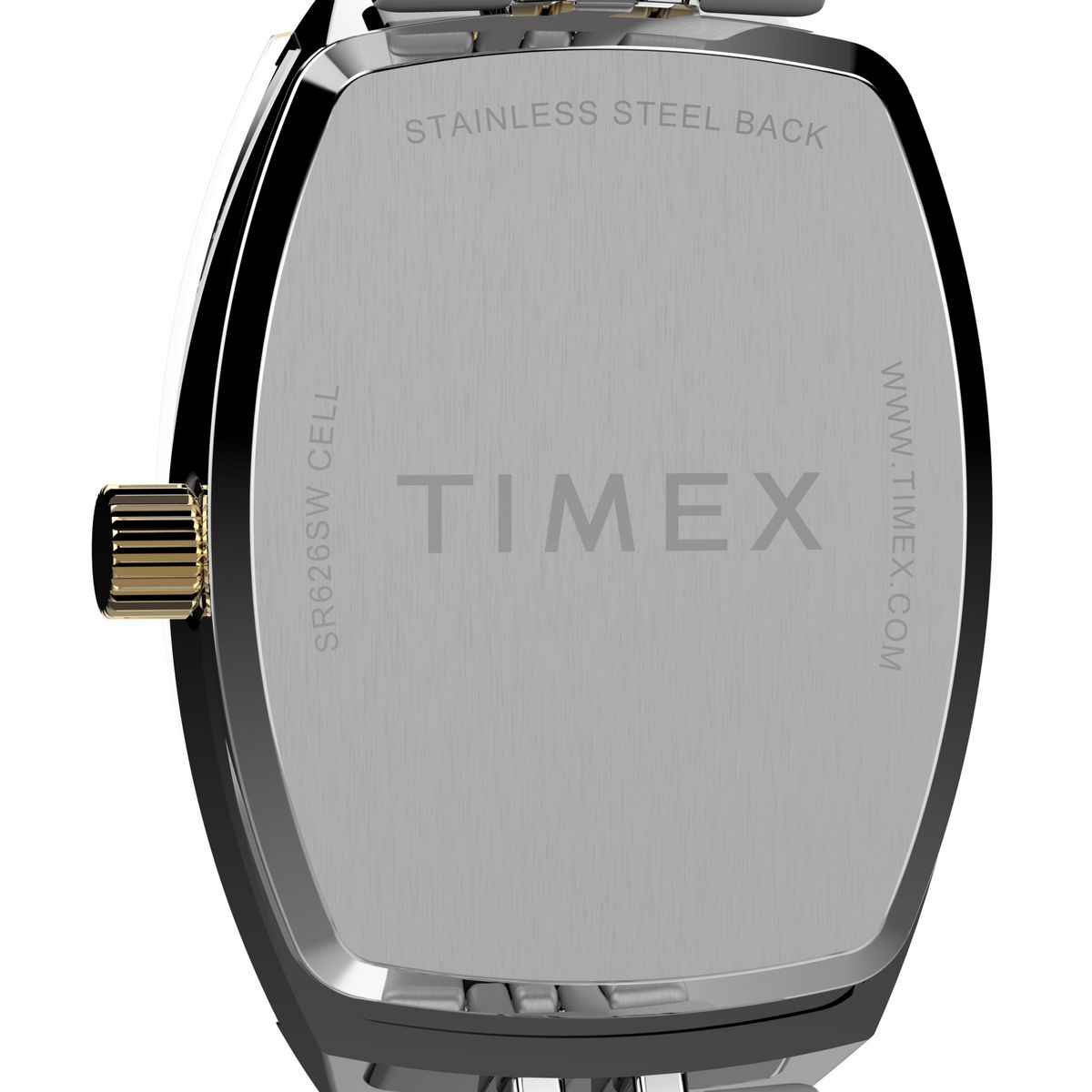 TW2Y22300 Charlotte Trend de dama correa de metal