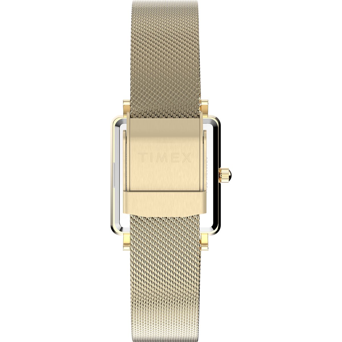 TW2Y26100 Transcend Trend de dama correa de mesh