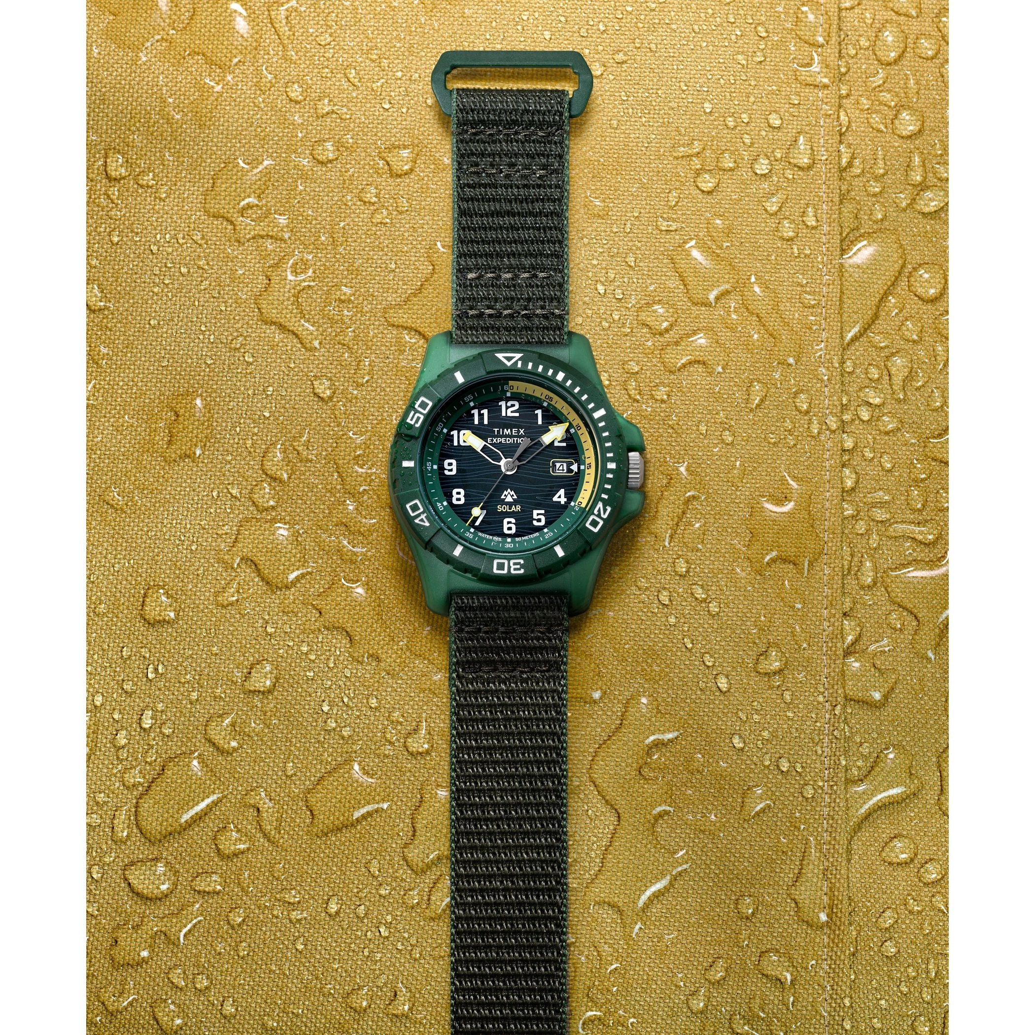 TW2Y61400 Expedition Freedive de hombre correa de tela
